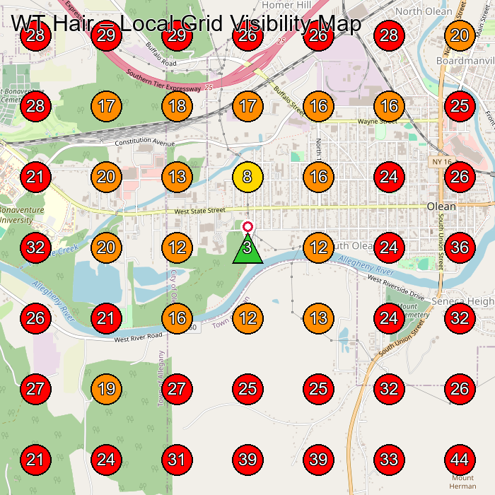 WT Hair GeoGrid visibility map for Personal Injury Attorney in Olean